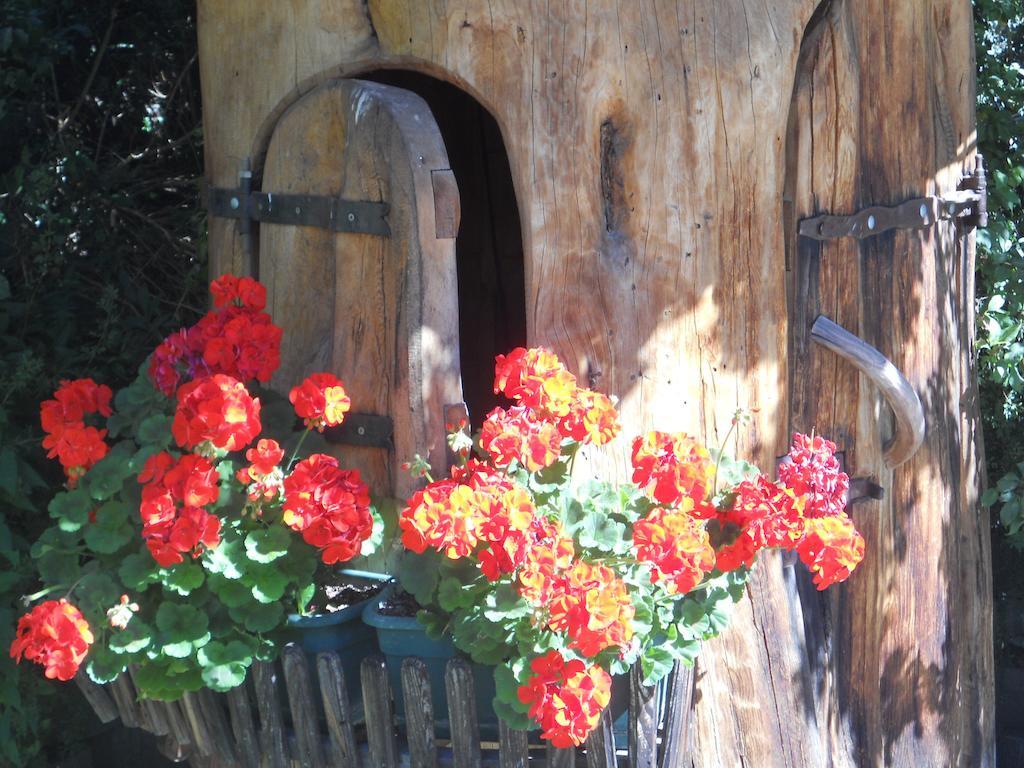 Residence Garni Manuela Cavalese Chambre photo